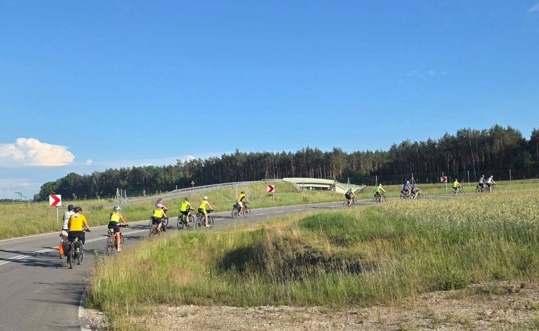 serwiskówki4 5